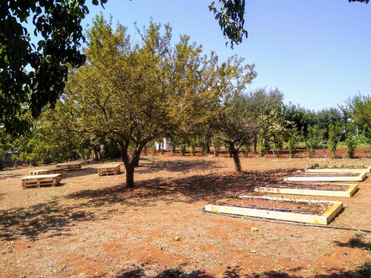 I Colmi - Trulli Suites Martina Franca Eksteriør billede